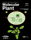 Molecular Plant雜志封面